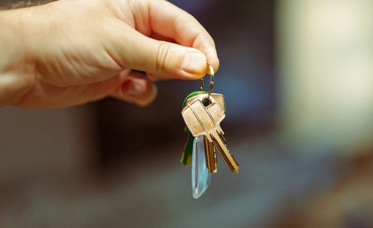 découvrez des conseils pratiques et astuces pour réussir dans l'immobilier : achat, vente, investissement, gestion de biens, et stratégies pour maximiser votre succès sur le marché immobilier.